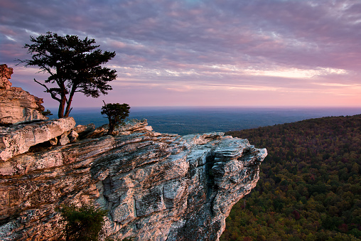 Love to Hike? Check out These 5 Parks Near Raleigh
